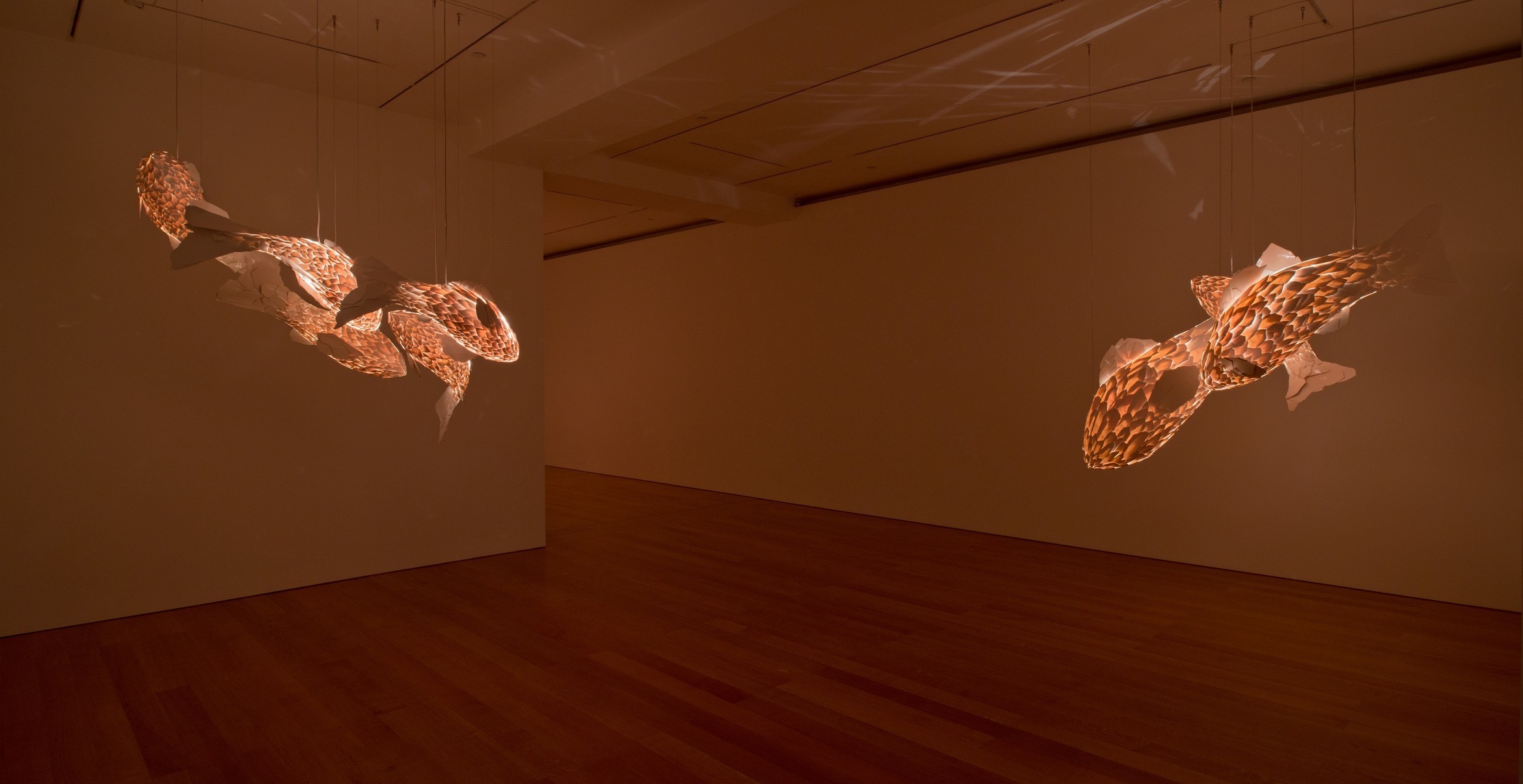 FISH LAMPS