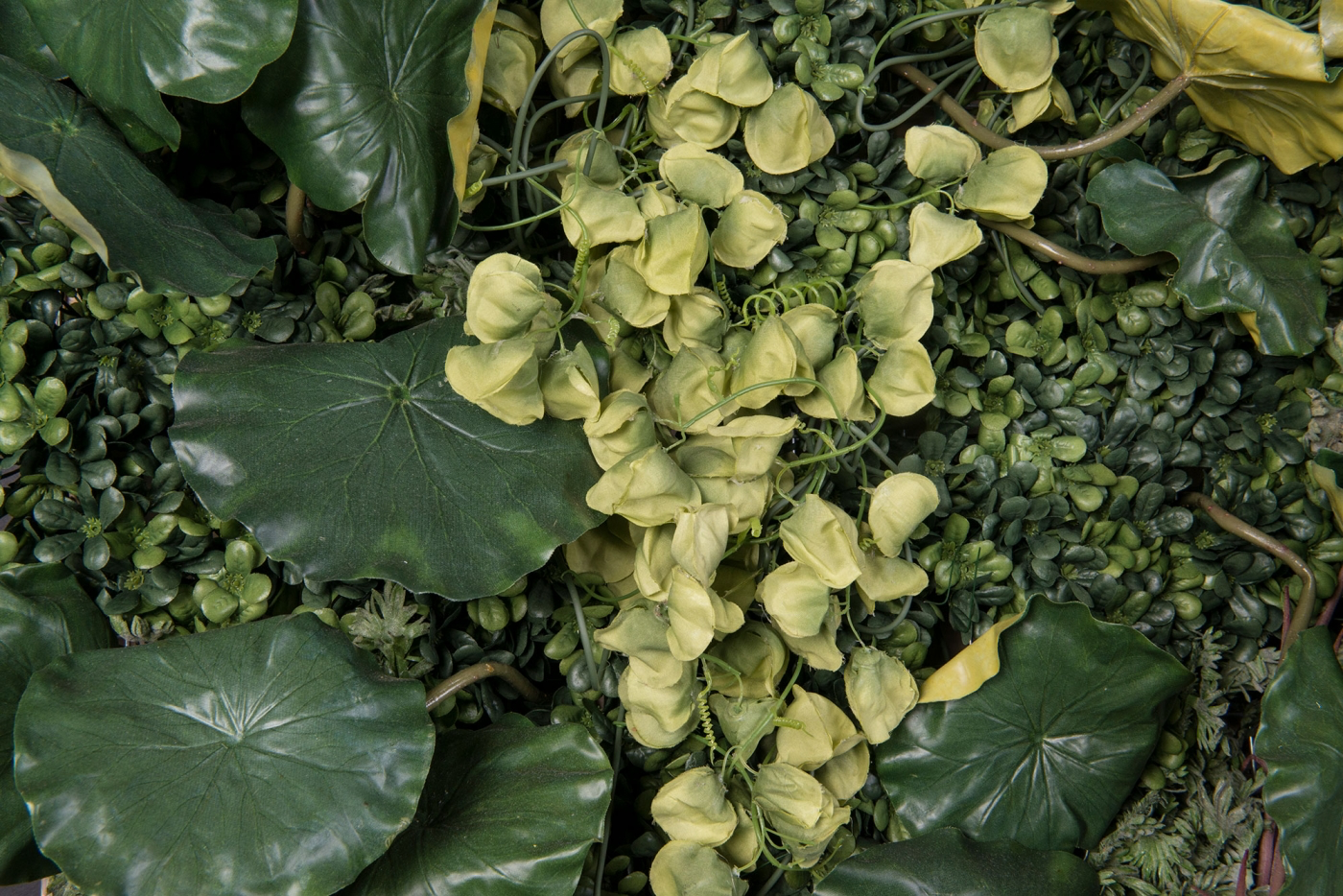 Вертикальный сад LOTUS LEAF WALL
