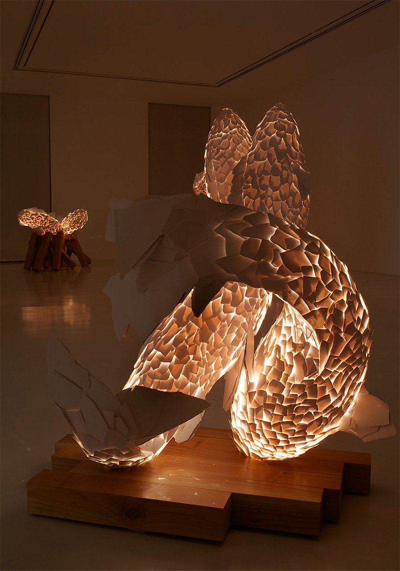FISH LAMPS