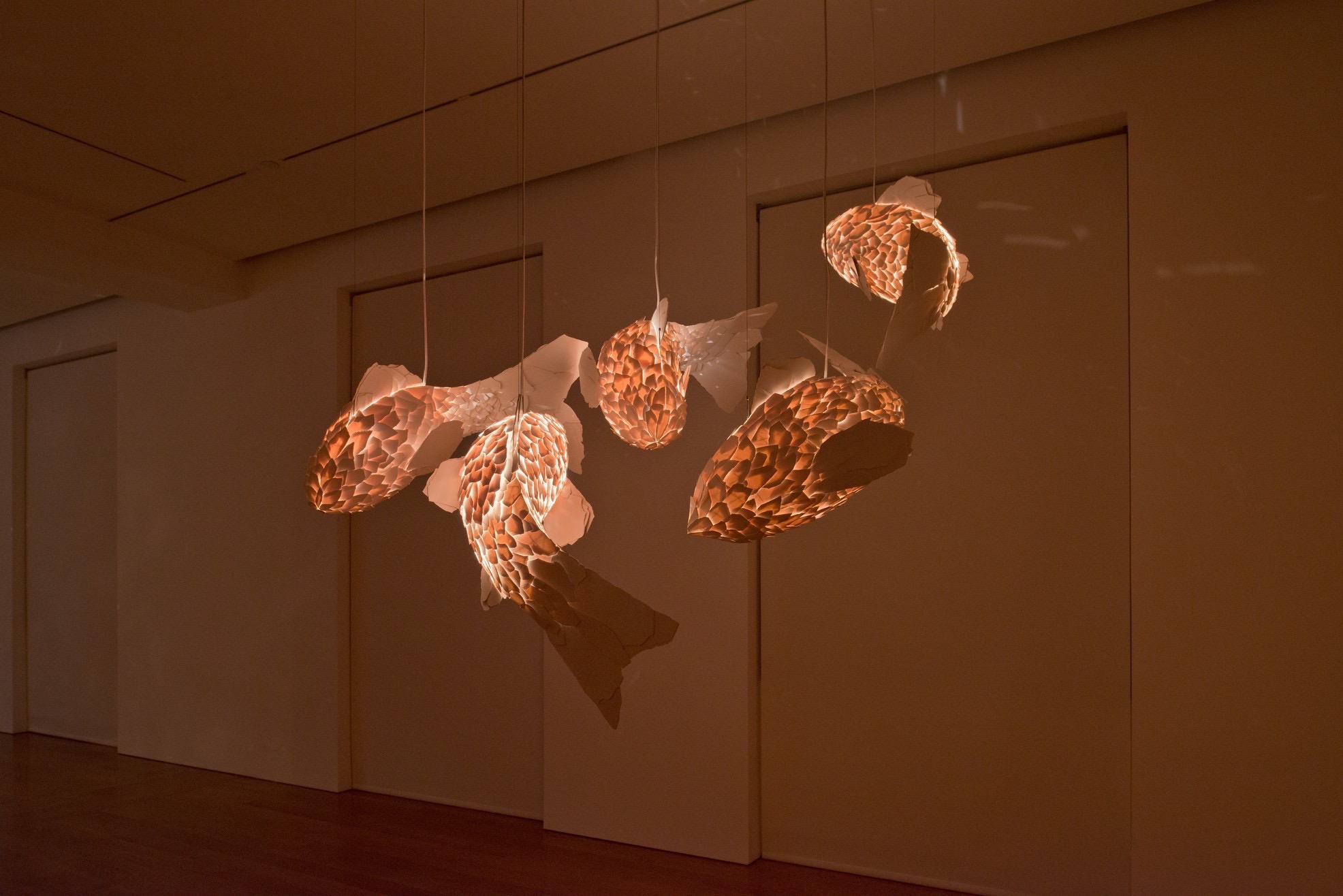 FISH LAMPS