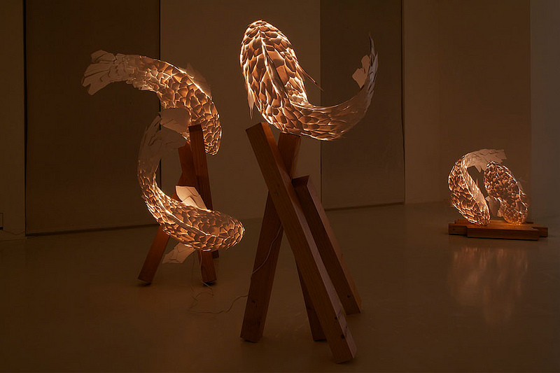 FISH LAMPS