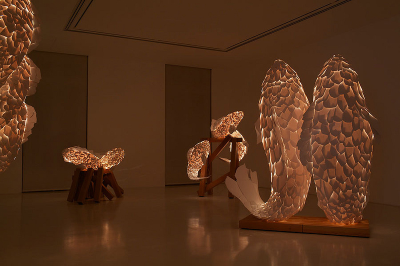 FISH LAMPS