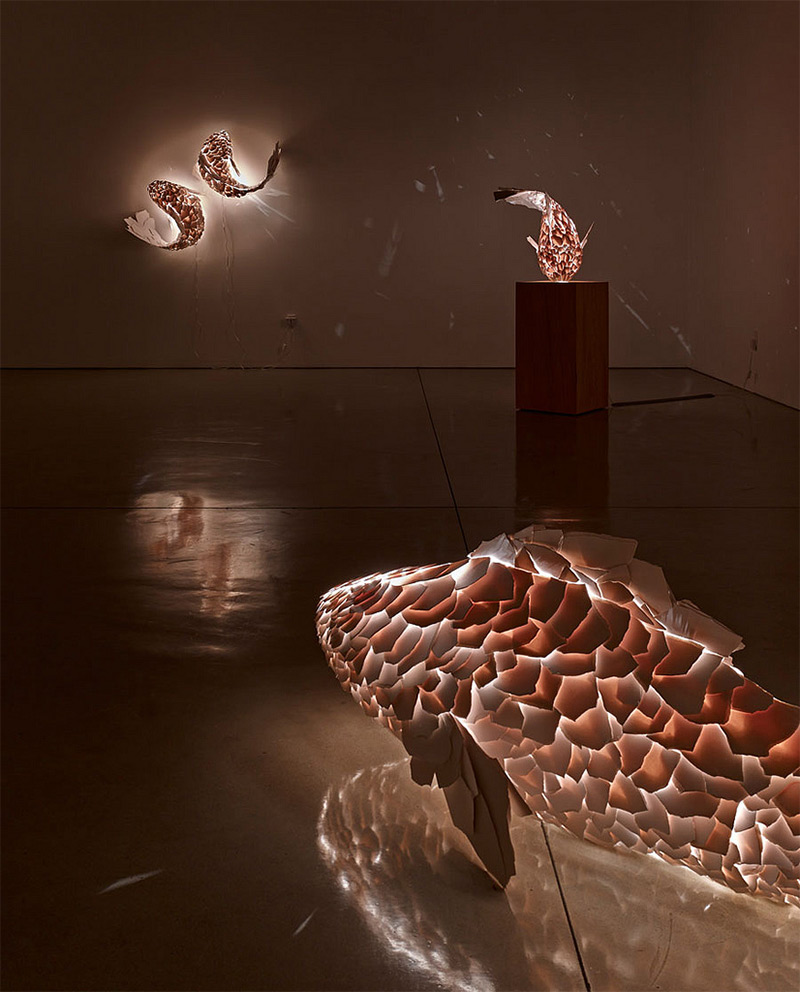 FISH LAMPS