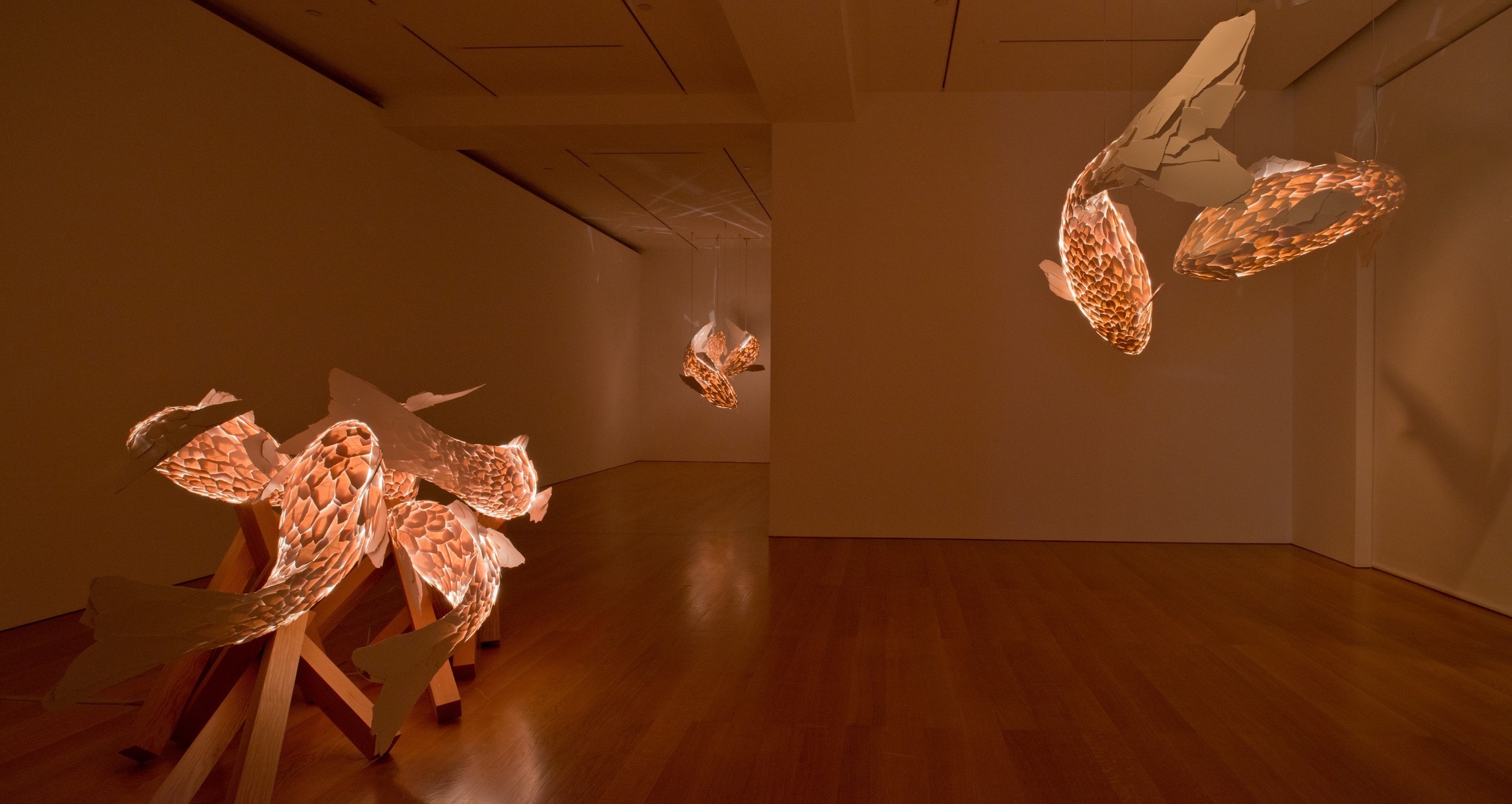 FISH LAMPS