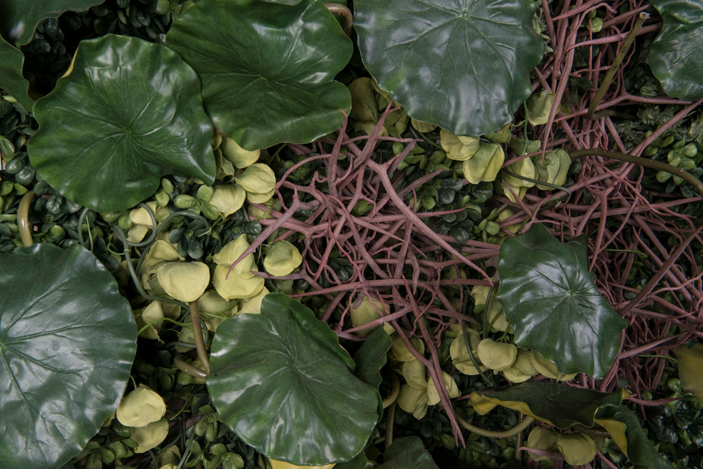 Вертикальный сад LOTUS LEAF WALL