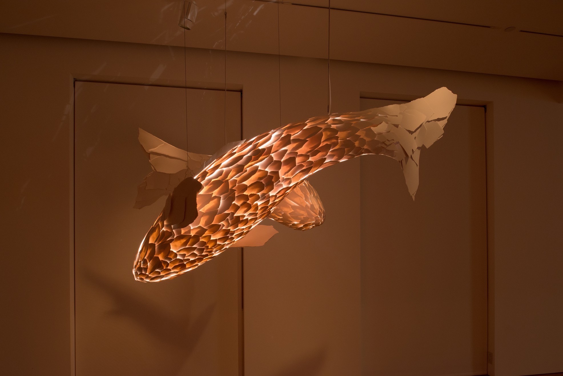 FISH LAMPS
