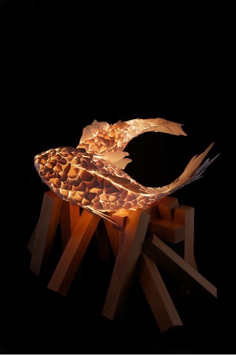 FISH LAMPS