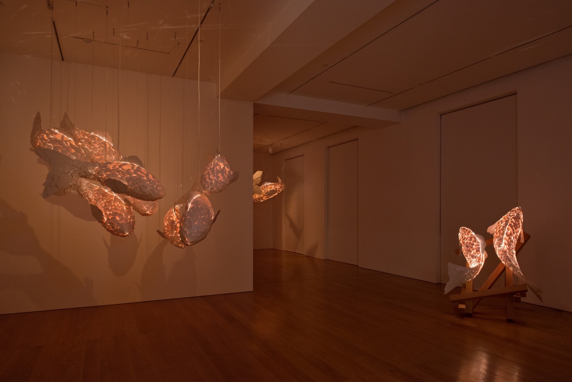 FISH LAMPS