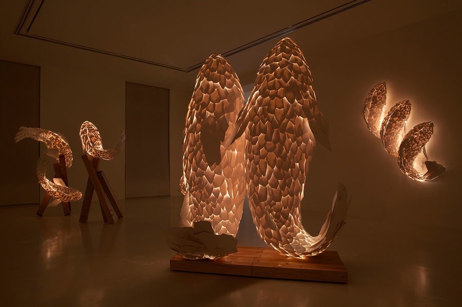 FISH LAMPS