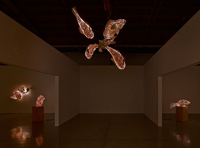 FISH LAMPS