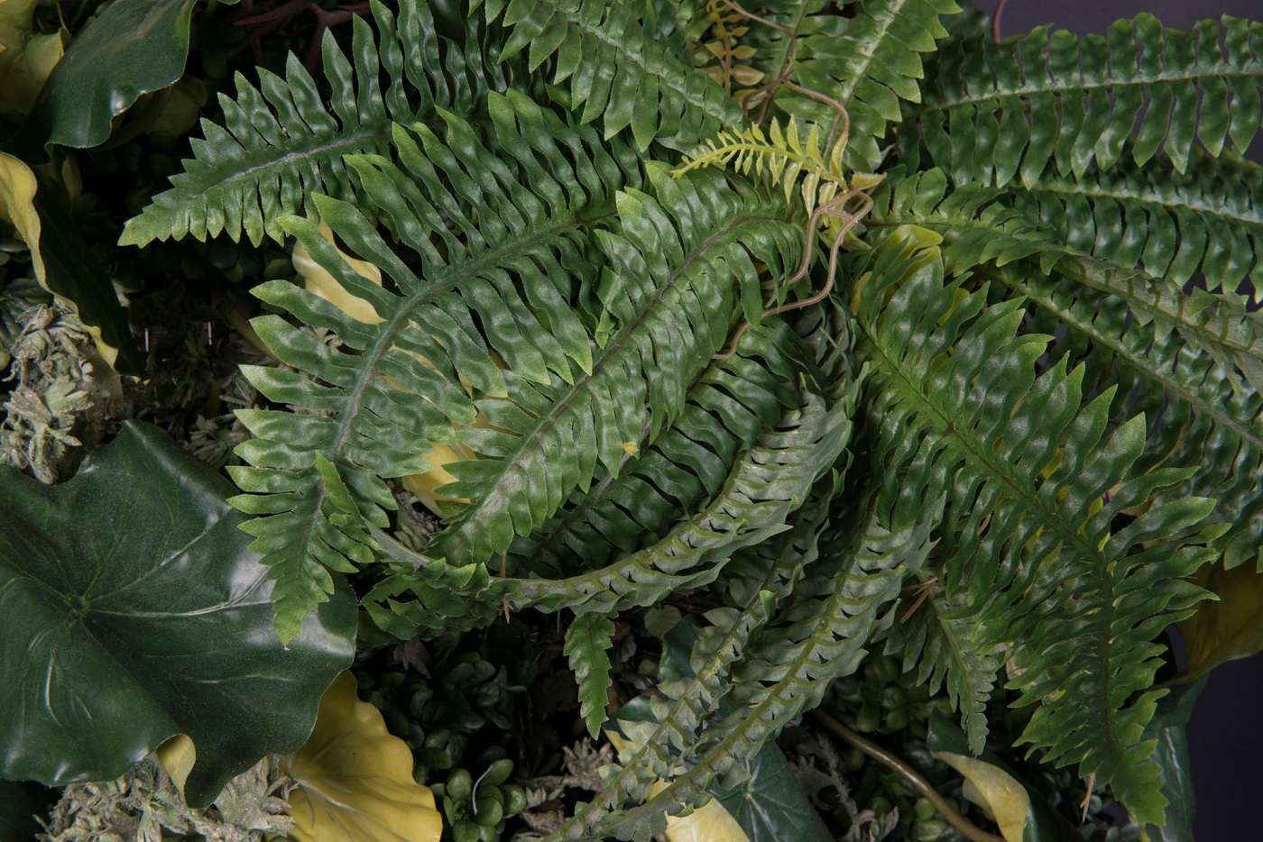Вертикальный сад LOTUS LEAF WALL